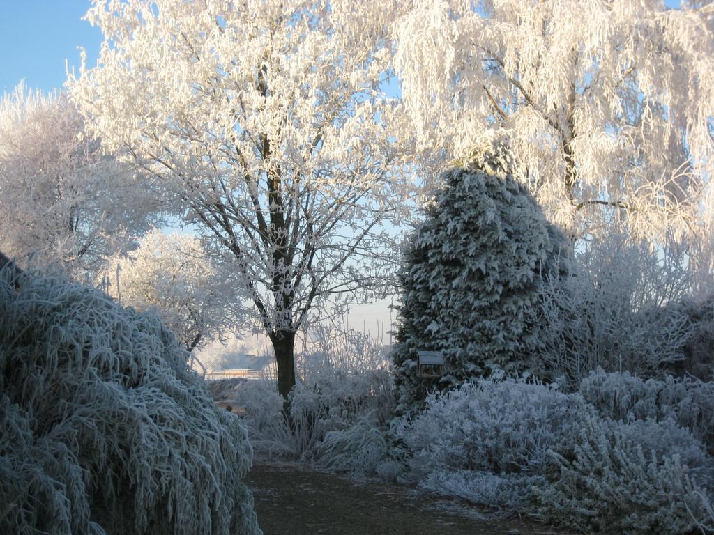 B&B Het Uilennest Bocholt ภายนอก รูปภาพ