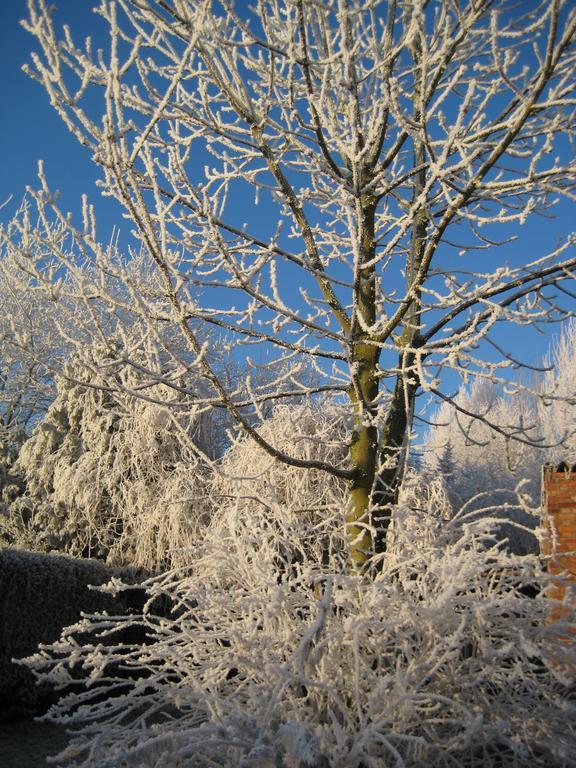 B&B Het Uilennest Bocholt ภายนอก รูปภาพ