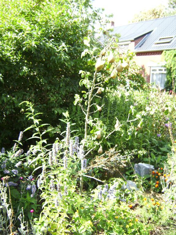B&B Het Uilennest Bocholt ภายนอก รูปภาพ