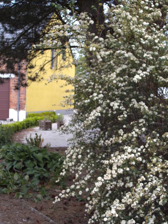B&B Het Uilennest Bocholt ภายนอก รูปภาพ